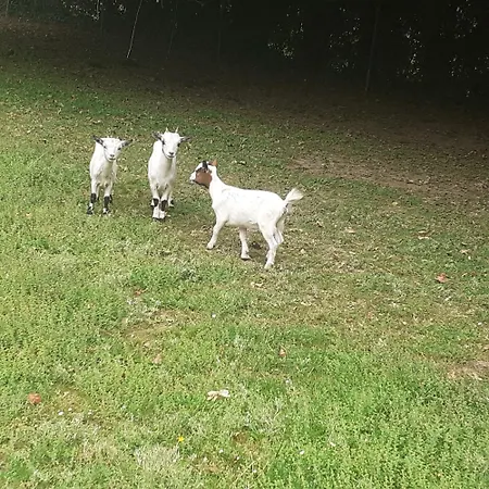 7 , Le Montraye Bed & Breakfast Pacé