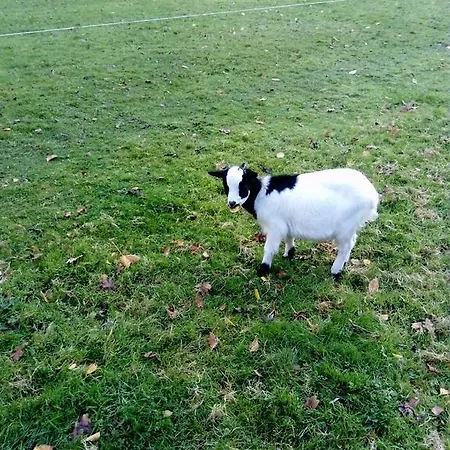 Bed & Breakfast 7 , Le Montraye