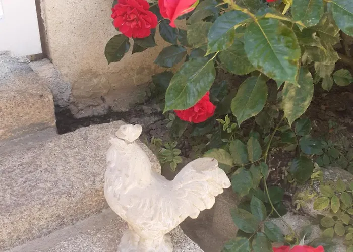 Bed & Breakfast 7 , Le Montraye