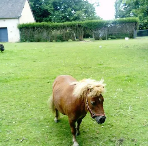 7 , Le Montraye Pace (Orne)